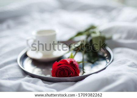 Red rose on a tray.  Blurred light background.  Morning.
