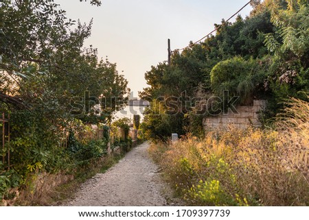 A path with greenery during sunset and golden hour creating an idyllic scenery in Dubrovnik in Croatia in Europe on a sunny day in summer