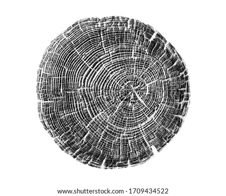 Black and white wood texture stamp art. Detailed tree ring design. Rough organic tree rings end grain. Royalty-Free Stock Photo #1709434522
