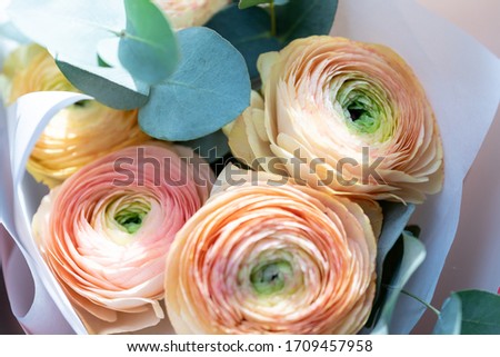 delicate pink and beige ranunculus in paper packaging close-up. selective focus, low depth of field.