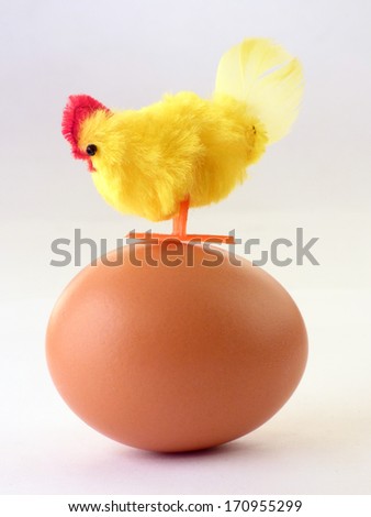 Hen on egg