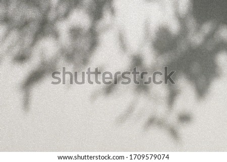 Abstract leaves shadows on gray   background. Ultimate Gray color wall texture . copy space. floral card