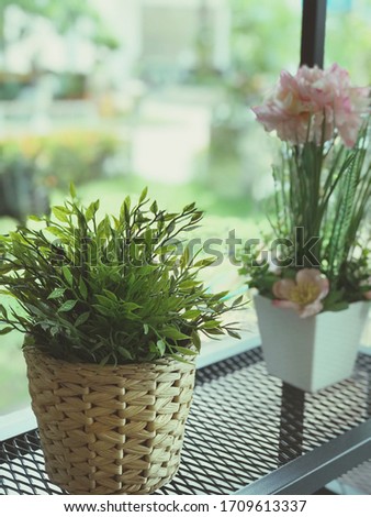Picture of plant pots and vases decorated and decorated in a cafe