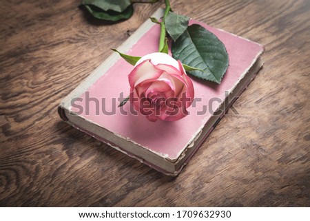 Rose and book on the wooden background.