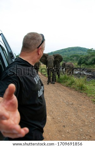 tourist making dangerous selfie with the elephant herd 