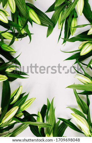 Vertical frame of green lilies on white background. Floral flat lay, top view, copy space