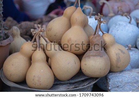 Dried bottle gourd or calabash gourd in northern market of Thailand.