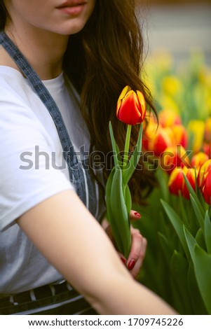 Beautiful young smiling girl, worker with flowers in greenhouse. Concept work in the greenhouse, flowers, tulips, box with flowers. Copy space – stock image