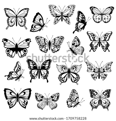 Set of decorative butterflies. Set of butterflies silhouettes isolated on white background. Decorative design elements. Vector illustration.