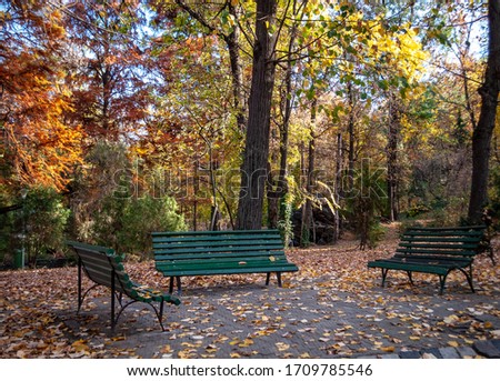 Bench picture Tineretului Park Bucharest Romania
