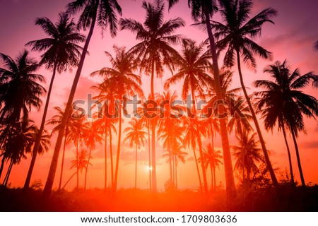 Silhouette coconut palm trees on beach at sunset. Vintage tone. Royalty-Free Stock Photo #1709803636