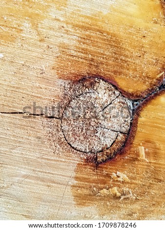 log log raw wood texture