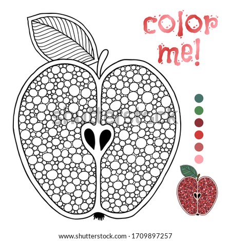 Coloring book page for children with outlines of apple and a colorful copy of it. Illustration for kids education or adult antistress. Hand-drawn, doodle, zentangle style. Set of illustrations.