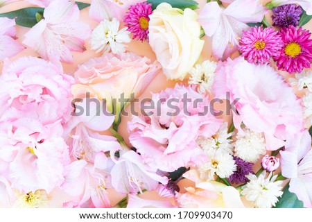 Flowers composition macro background made of eustoma and daisy flowers. Flat lay, top view scene.