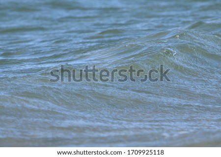 Closeup of the tip of beach wave  