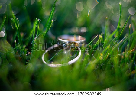 Two Gold wedding rings on the grass. Creative wedding shot.