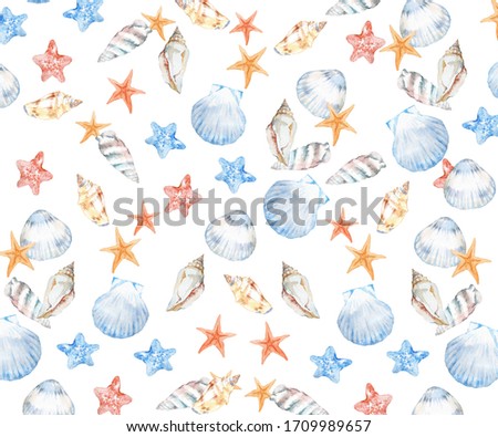 Watercolor illustration of sea shells