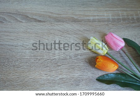 Beautiful white,yellow and pink tulips on woonden background, top view, Space for text.
