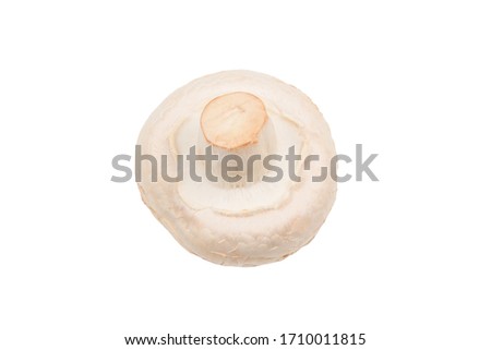 Champignon mushroom isolated on white background.  Top view. 