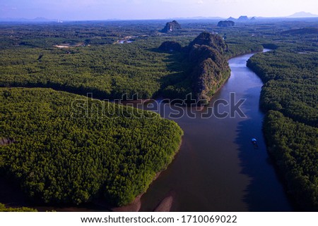 View from above, stunning aerial view of a river flowing through a green tropical forest, it discharges into the Andaman sea. Phang Nga Bay, Phuket, Thailand.