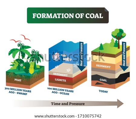 Formation of coal vector illustration. Labeled educational rock birth scheme. Carbon stone diagram from geological time and pressure aspect. Swamp and ocean structural process explanation infographic. Royalty-Free Stock Photo #1710075742