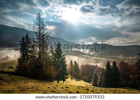 View of mountain forest sunrise with dramatic cloudy sky on background. Beautiful landscape with coniferous trees on hillside meadow. Concept of nature.