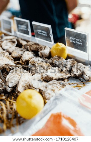 picture of fresh raw oysters