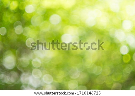 Green bokeh on nature defocus art abstract blur beautyful background