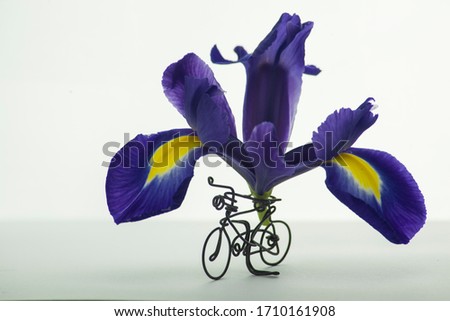 blue iris flower abstract shape on bicycle miniature