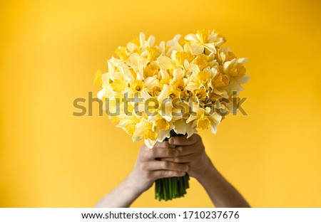 Yellow background and male hands with a bouquet of yellow daffodils. The concept of greetings and women's day.