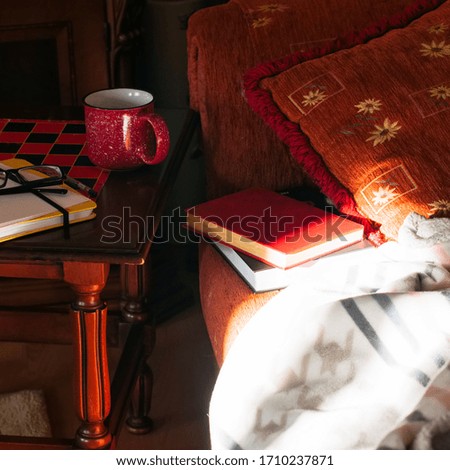 Stay home or book reading or self-isolation concept. Golden hour time. Cozy  home interior. Plaid with book on sofa, mug on a table.