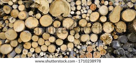 A pile of logs for firewood piled by a wall