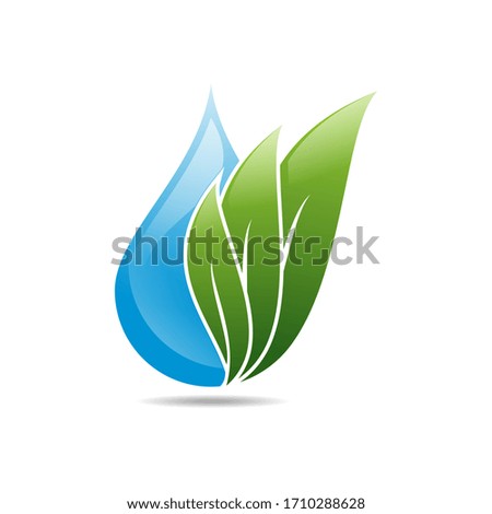 Leaf and water logo vector design template