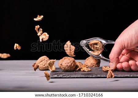 Man cracking nuts with a nutcracker over a slate and a  grey wood. Black background. Nutshells in the air. Royalty-Free Stock Photo #1710324166