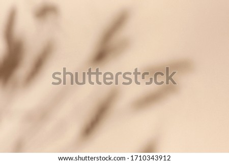 Top view of wheat and rye ears  shadow on sand color beige background. Flat lay. Minimal summer  and autumn concept with leaf.   Royalty-Free Stock Photo #1710343912
