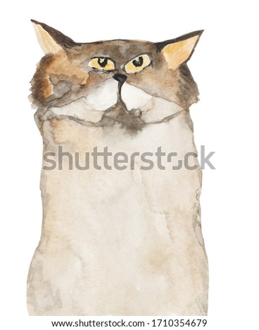Illustration watercolor cat cartoon 