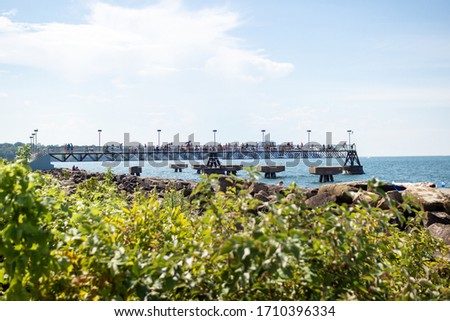Summer landscape with a lake and a pier, in the foreground grass, in the background people stand on a pier. Lake Erie, Cleveland, Ohio, USA