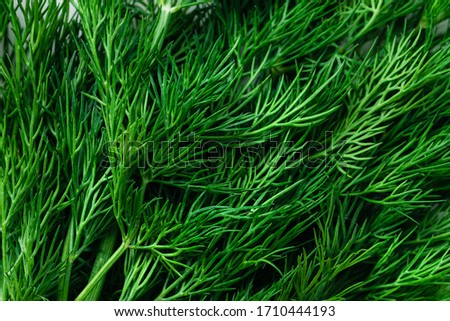 fresh green dill background. fresh green dill texture. top view Royalty-Free Stock Photo #1710444193