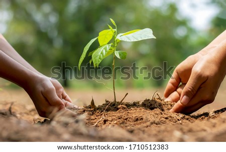 The hands of a little boy are helping adults grow small trees in the garden. The idea of planting trees to reduce air pollution or PM2.5 and to reduce global warming. Royalty-Free Stock Photo #1710512383