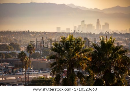 Famous Los Angeles palm trees with a polluted, smoggy Downtown in the background. Focus on foreground tree elements.