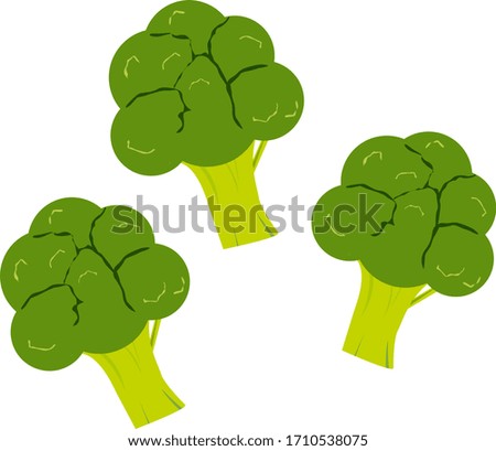  Vector illustration of broccoli .  Vegetable icon