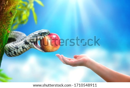 Snake in paradise giving an apple fruit to a woman. Forbidden fruit concept. Royalty-Free Stock Photo #1710548911