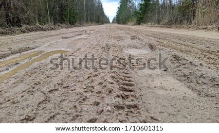 wet and dirty sand road in the middle of the forest