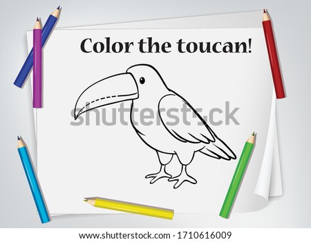 Children toucan coloring worksheet illustration