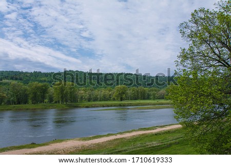  river with a fast current, banks covered with trees on a warm summer day