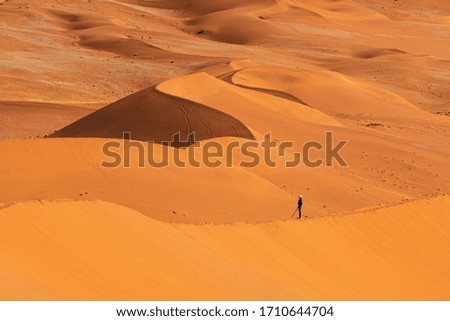 Alone man walk in orange sand dune desert at Namib desert in Namib-Naukluft national park Sossusvlei in Namibia.