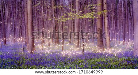 A magically enchanting fairytale forest landscape with shimmering pixie dust stars over a beautiful carpet of blue bluebells among the tall deciduous trees. Royalty-Free Stock Photo #1710649999
