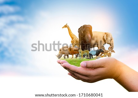 Wildlife Conservation Day Wild animals to the home. Or wildlife protection Royalty-Free Stock Photo #1710680041