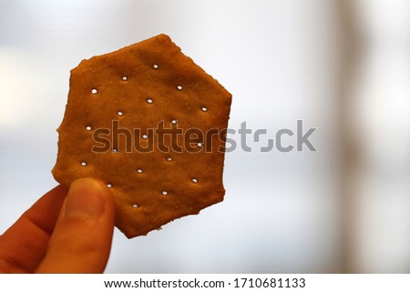 Delicious cheese cracker hold by a person, you can see the hexagon shaped brown cracker with some holes, person's fingers and a soft neutral colored bokeh background. Closeup color image of a snack. 