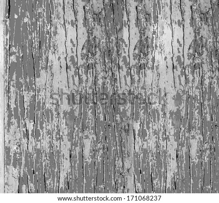 Old Wood cracked background concept